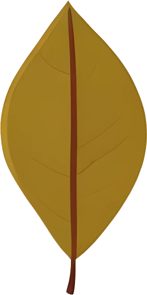 rendy Foliage Design, Leaf PNG Download, Tropical different type exotic leaves set_20.webp